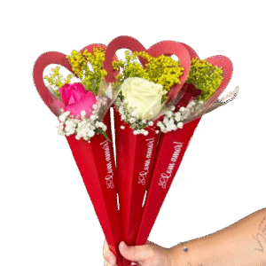 Cone Coração
