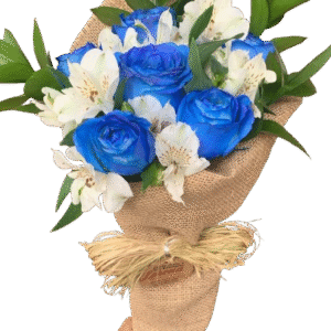 Buque Alegria Azul
