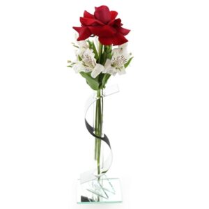 Colombiana Solitária no Vidro