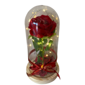 Rosa Eterna com Pétalas