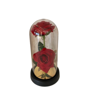 Rosa Eterna Viermon